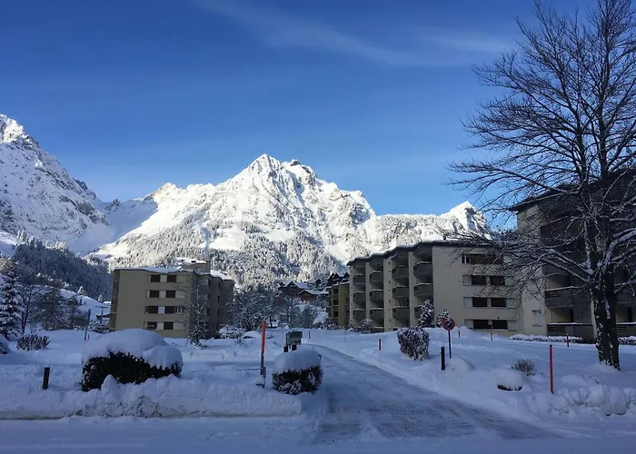 Sunnmatt Sued 246 By Interhome Engelberg